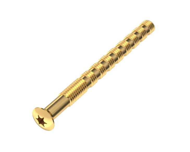 Pre-cut-screw-M5x60-KD60-polished-brass